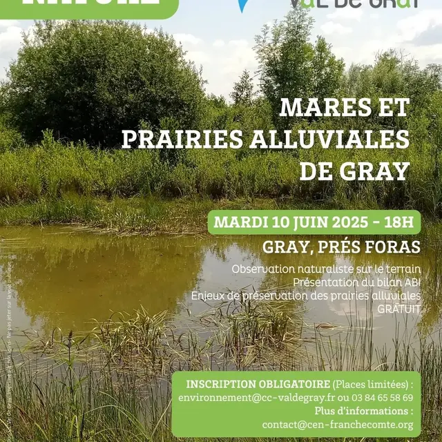 Mares et prairies alluviales de Gray