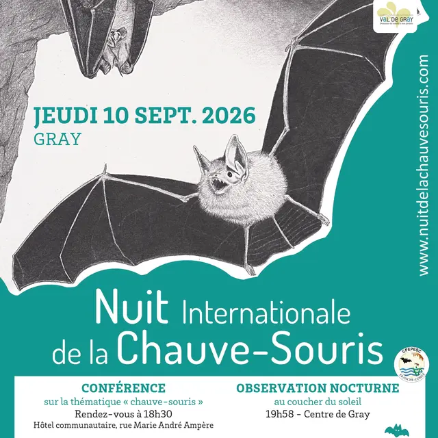 Nuit internationale de la chauve-souris