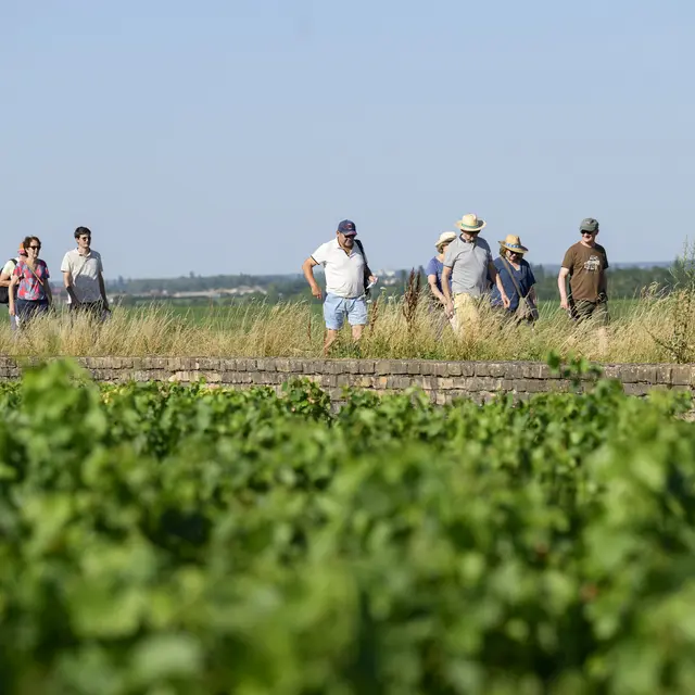 10 ans_La-quete©M.Joly (136)