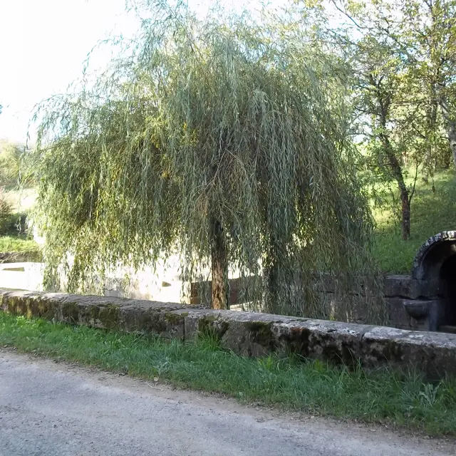 Lavoirs de Pin