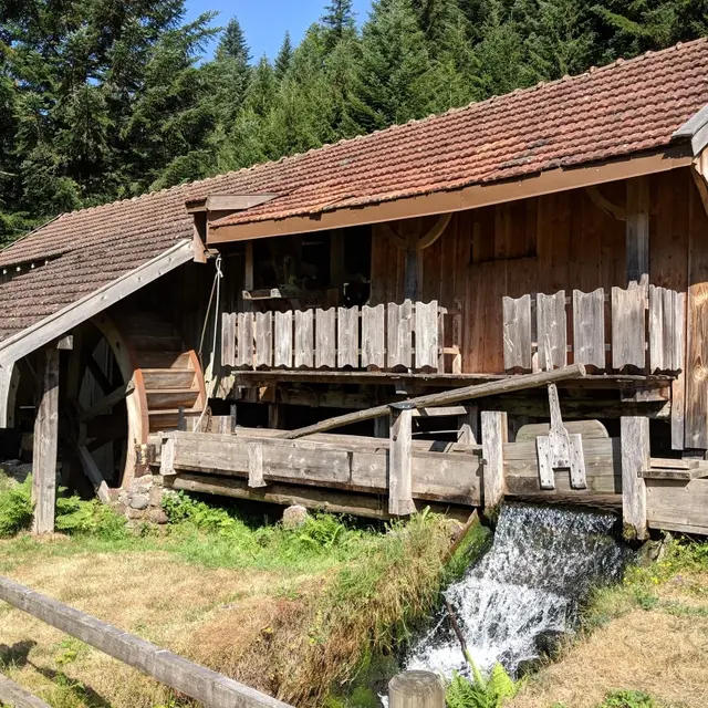 1000-Etangs---Scierie-Martin---Miellin---Nicolas-BONNE