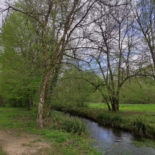 11-parc-biodiversité