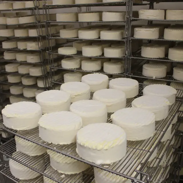 Affinage des fromages