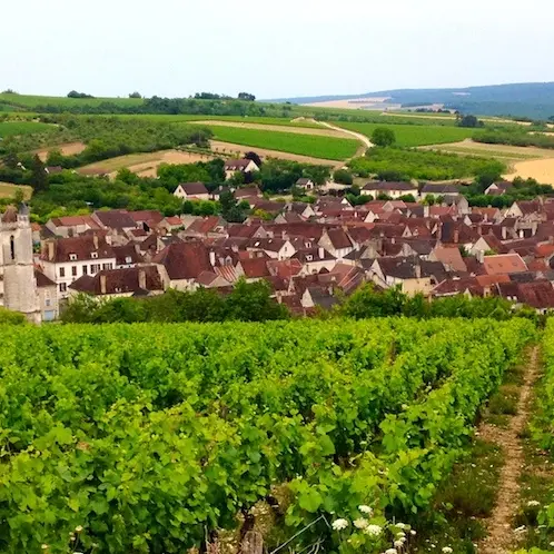 Le village d'Irancy