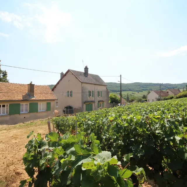 Gîte de l'Orbize