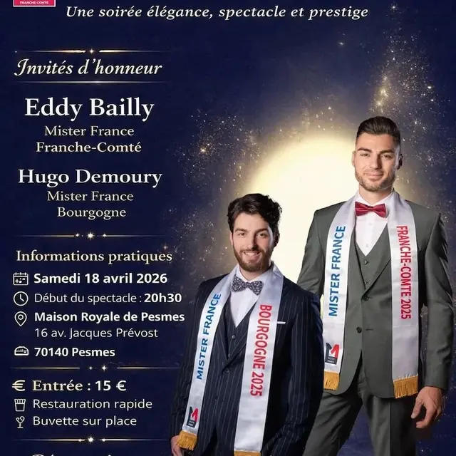 Éléction départementale Mister France