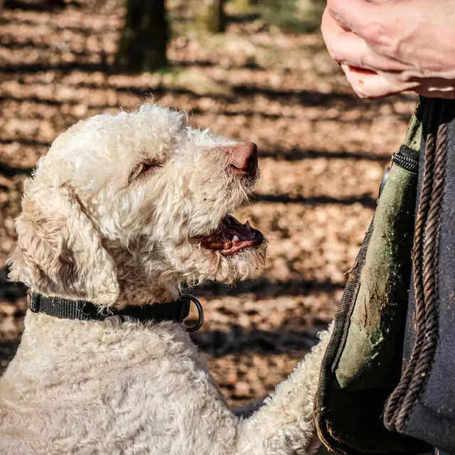 2-1000T_FEB25_5grammes-28