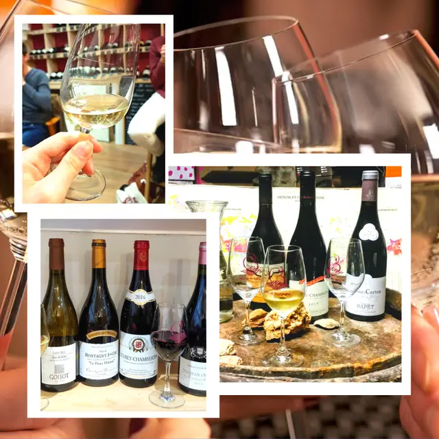 les ateliers du vin, cours de dégustation