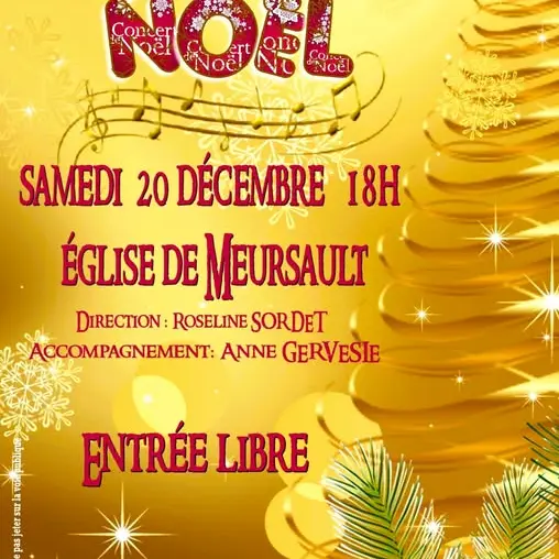 20.12 Murisaltienne