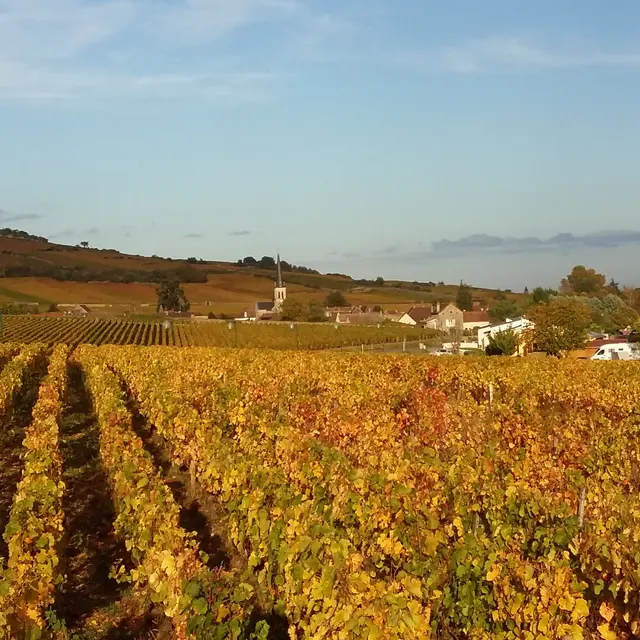 le village
