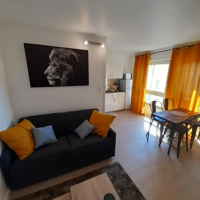 studio Le Lion