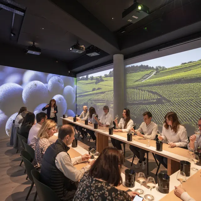 2022-04_CIGV-Ecole-des-vins_intuive_37