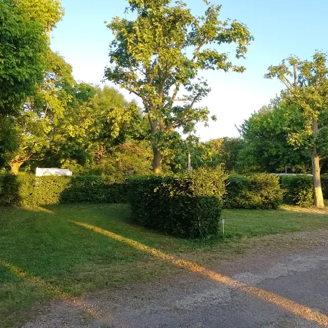 emplacement nature ombragé