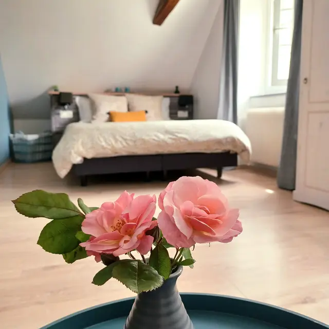 Les Plumes Marguerite