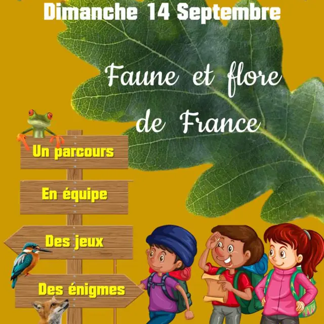 rallye pédestre