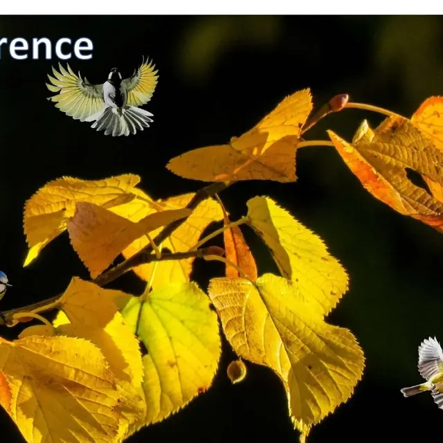 conférence 2026-03-12