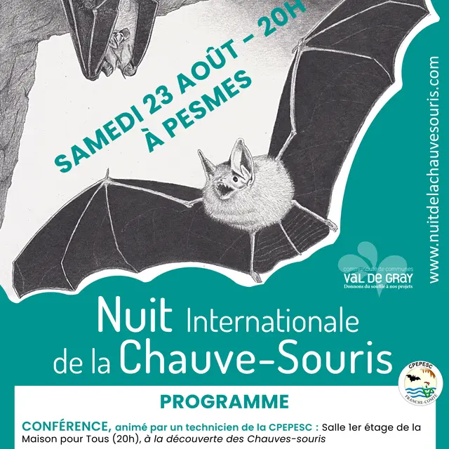 Nuit internationale de la Chauve Souris