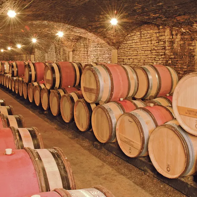 Cave de nos vins rouges