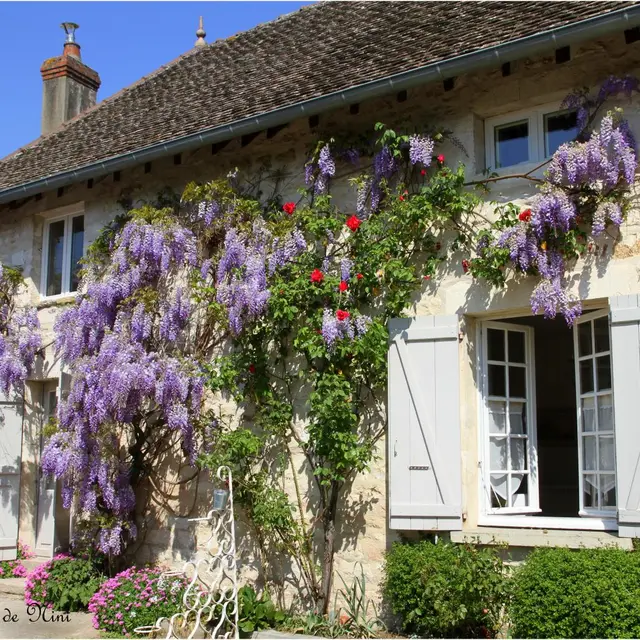 La Maison de Nini