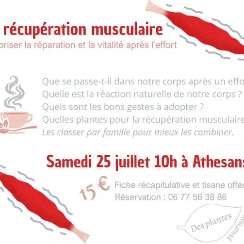 25 juillet recupération musculaire des plantes pour nous