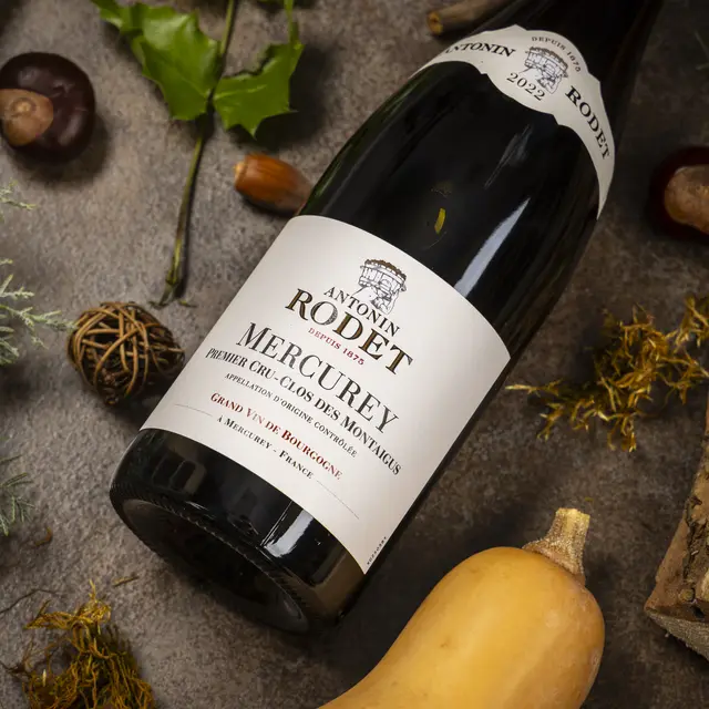 251002_BTL_AUTOMNE_©_ANTONIN_RODET_002