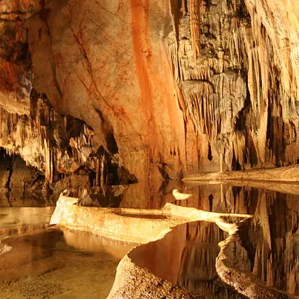 grotte-d'arcy