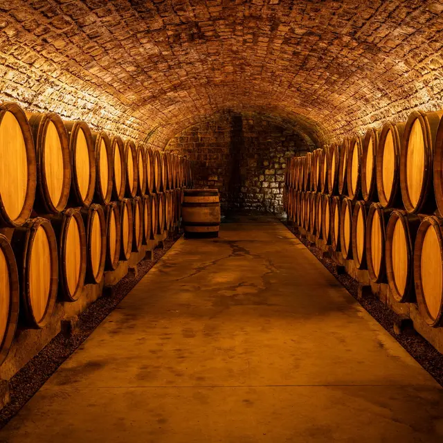 260209_CAVE_PARCOURS_LGCDV_©_LA_GRANDE_CAVE_DE_VOUGEOT_001