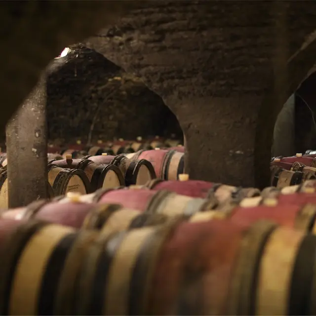 Nos caves du XVème siècle