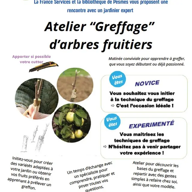 Atelier greffage d'arbres fruitiers