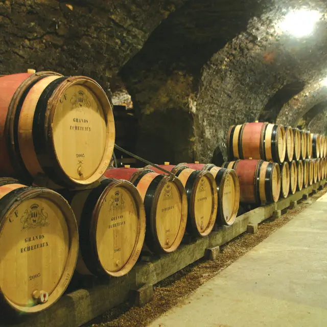 caves voutées 1880