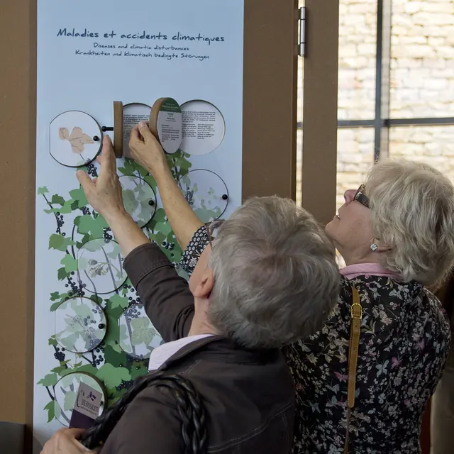 Le Cassissium, espace muséographique