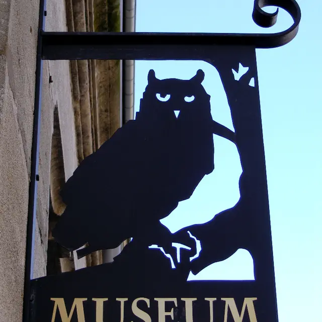 MUSEUM D'HISTOIRE NATURELLE_1