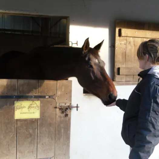 DOMAINE EQUESTRE DE LA BORDE_1