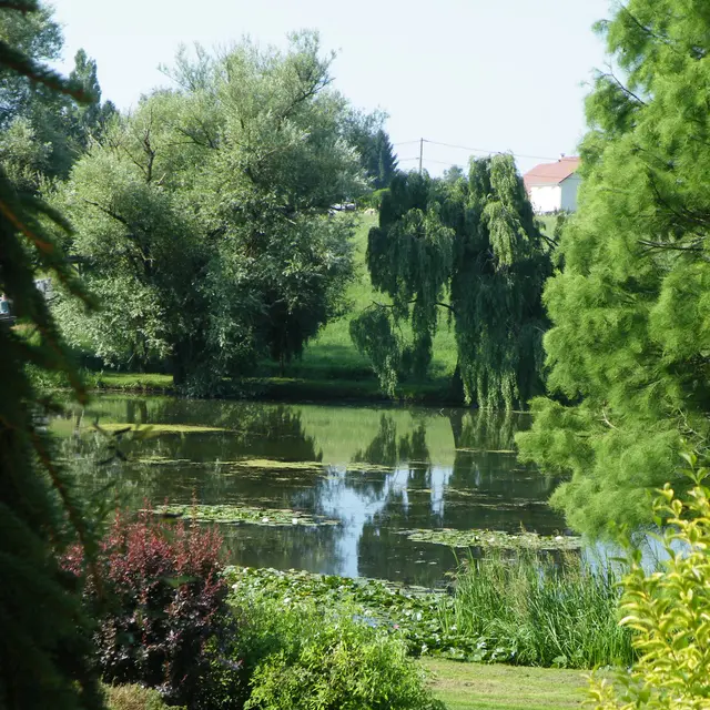 LE PARC DE L'ETANG_1