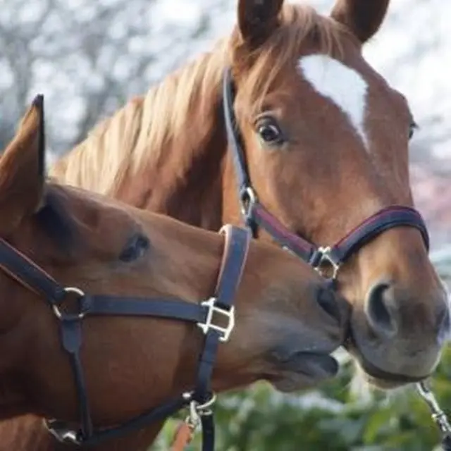 EQUI'BALADE_1