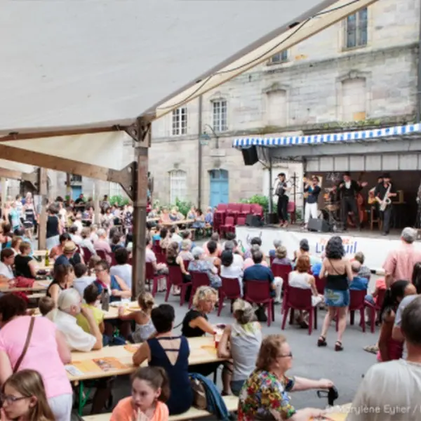 FESTIVAL LES PLURALIES_1