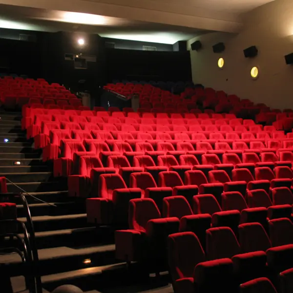 CINÉMA DE L'ESPACE MOLIERE_1