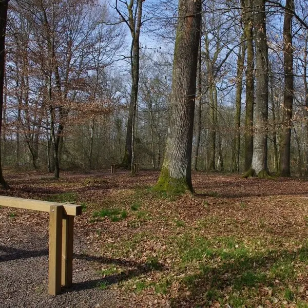 PARCOURS DE SANTÉ À ST SAUVEUR