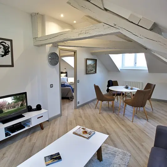 MEUBLÉ MAISON FRANCOIS 1ER****_1