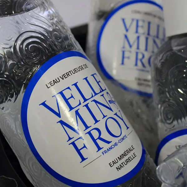 LA SOURCE DE VELLEMINFROY_1