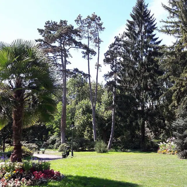 JARDIN ANGLAIS_1