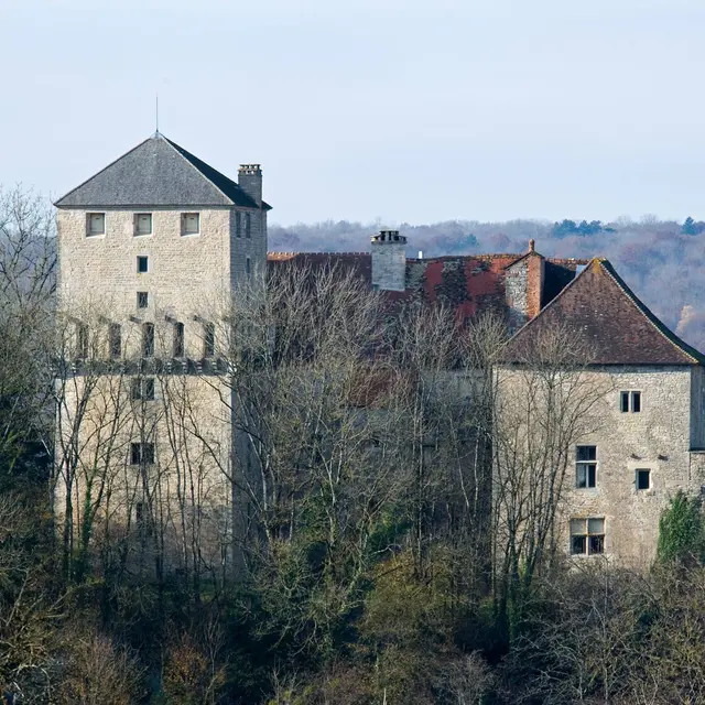 CHÂTEAU DE VALLEROY_1