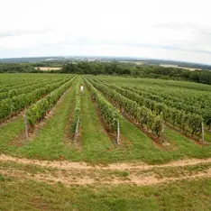 DOMAINE DE LA PÂTURIE_1