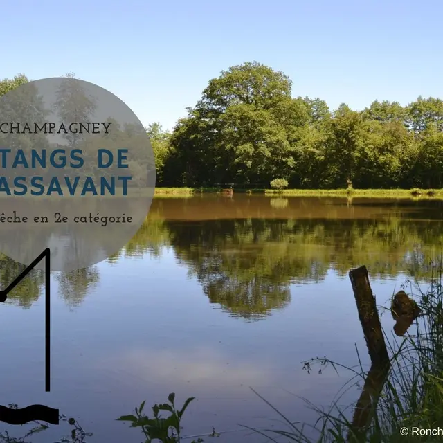 ETANGS DE PASSAVANT_1