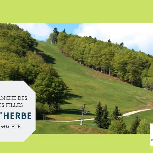 ROLL'HERBE_1