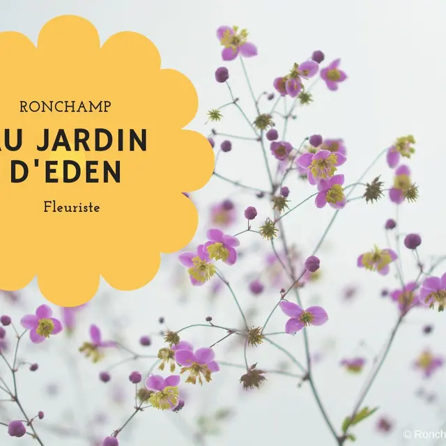 AU JARDIN D'EDEN_1