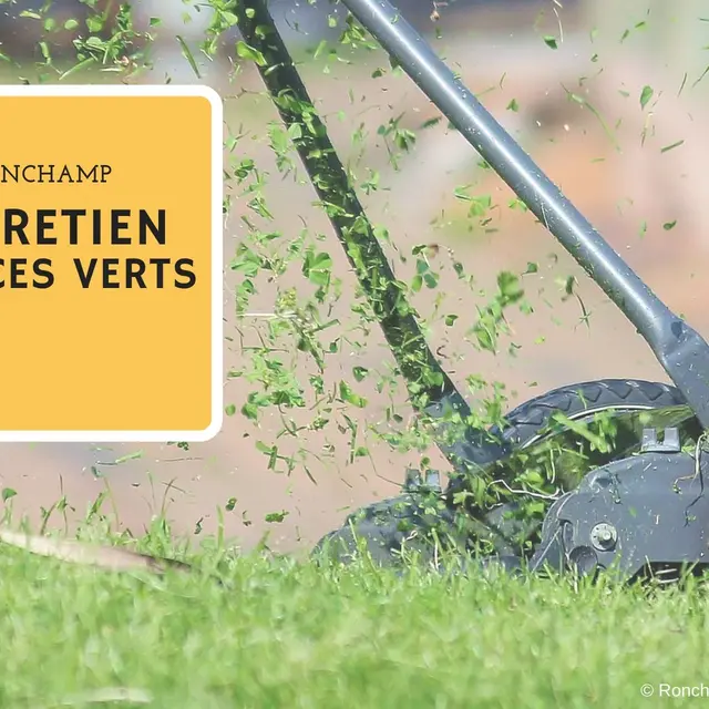 MILLE ESPACES VERTS_1