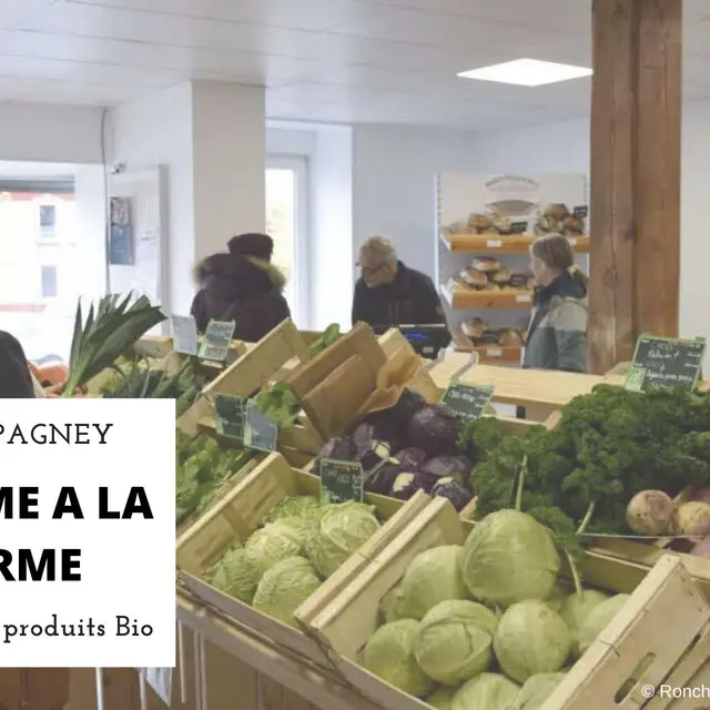 MAGASIN COMME A LA FERME_1