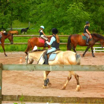 PONEY CLUB LE PICOTIN_1