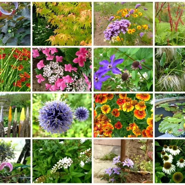 JARDIN DE LA FERRIERE_1